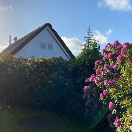 Ferienhaus Butterblume Südbrookmerland Dış mekan fotoğraf