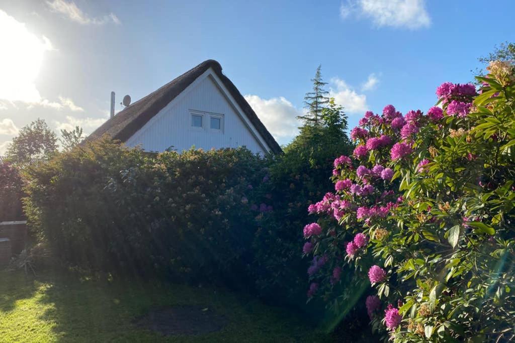 Ferienhaus Butterblume Südbrookmerland Dış mekan fotoğraf